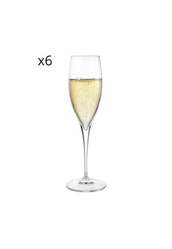 Set 6 flute Champagne Io vino in vetro cristallo