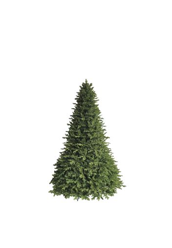 Albero di Natale 180 cm, 700 microled St. Anton