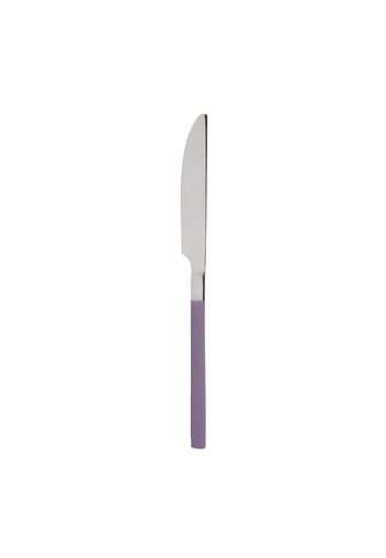 Coltello manico lilla in acciaio inox 18/0