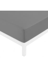 Lenzuolo con angoli singolo cotone percalle grigio