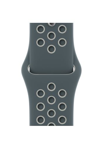 Nike Sport Band 44 mm Hasta/Light Silver - Regular - Grigio