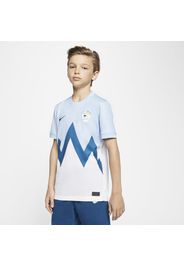 Maglia da calcio Slovenia 2020 Stadium per ragazzi - Home - Blu