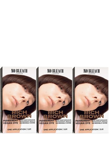 BLEACH LONDON Rich Brown Permanent Kit Trio