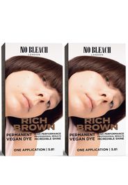 BLEACH LONDON Rich Brown Permanent Kit Duo