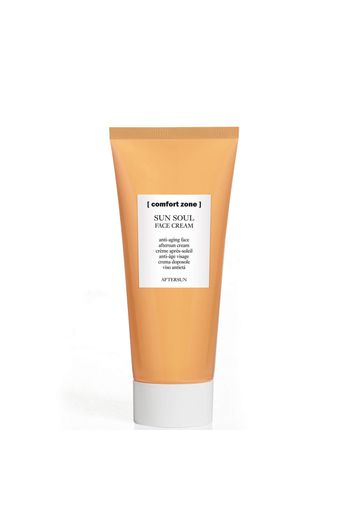 Comfort Zone Sun Soul After Sun Face Cream 84g