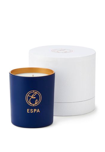 ESPA Winter Spice Standard 200g Candle