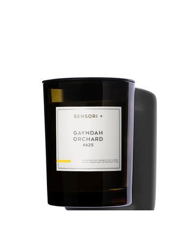 SENSORI+ Air Detoxifying Aromatic Gayndah Orchard Soy Candle 260g