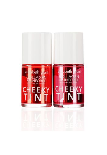 Cheeky Tint Duo: 2 blush liquidi in 2 tonalità con pennello