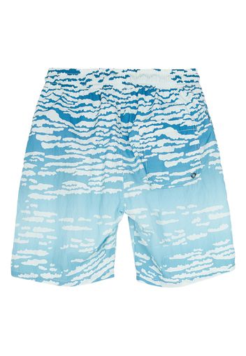 Goodboy Swim Trunks