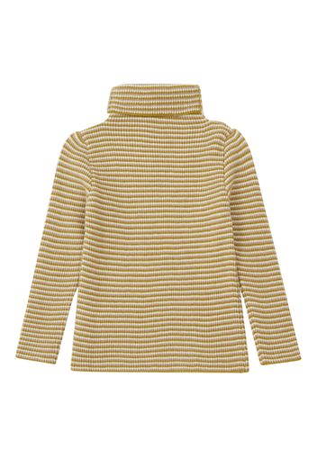 Ali Striped Polo Neck Woollen Jumper