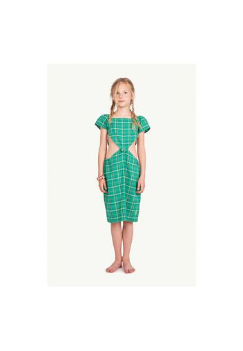 Checked Badger Dress