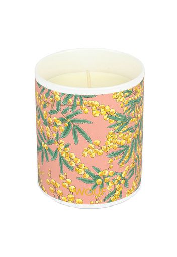 Mimosa Candle