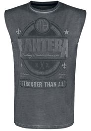 Pantera - EMP Signature Collection - Canotte - Uomo - grigio