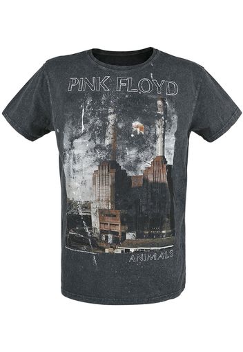 Pink Floyd - Animals - T-Shirt - Uomo - carbone