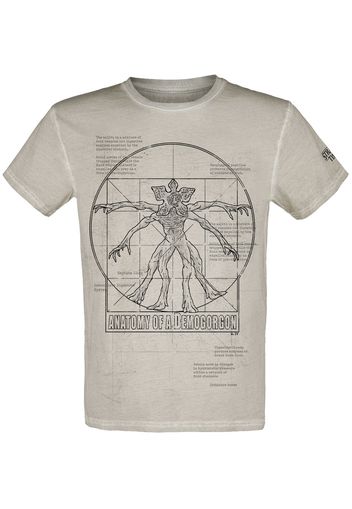 Stranger Things - Anatomy Of A Demogorgon - T-Shirt - Uomo - grigio