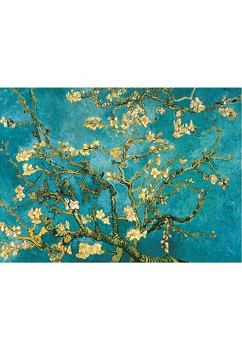 BLOSSOM VAN GOGH