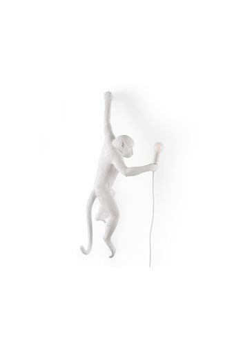 THE MONKEY LAMP HANGING