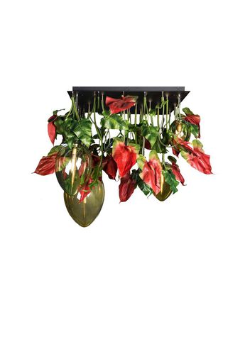 FLOWER POWER ANTHURIUM RED EGGS