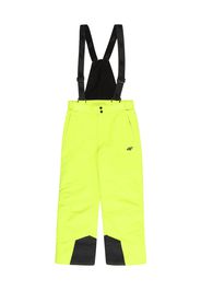 4F Pantaloni sportivi  verde chiaro / nero