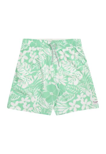 Abercrombie & Fitch Pantaloncini da bagno  menta / bianco