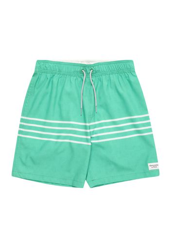 Abercrombie & Fitch Pantaloncini da bagno  verde / offwhite