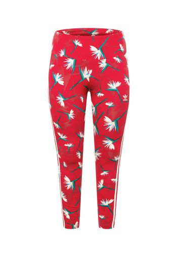 ADIDAS ORIGINALS Leggings  colori misti / rosso