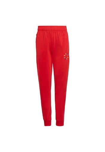 ADIDAS ORIGINALS Pantaloni  colori misti / rosso fuoco