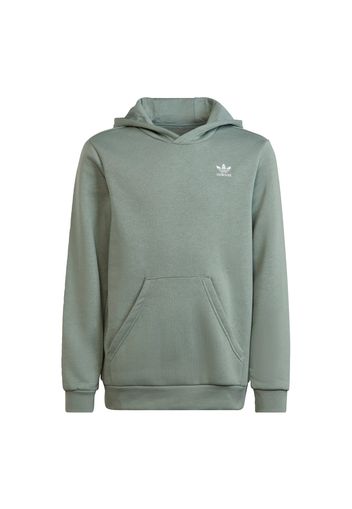 ADIDAS ORIGINALS Pullover 'Adicolor'  verde / bianco