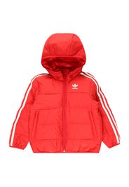 ADIDAS ORIGINALS Giacca invernale  rosso / bianco