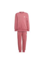 ADIDAS ORIGINALS Tuta da jogging 'Adicolor'  rosa / bianco