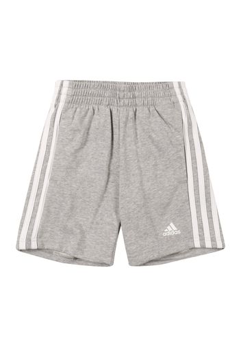 ADIDAS PERFORMANCE Pantaloni sportivi  grigio / bianco