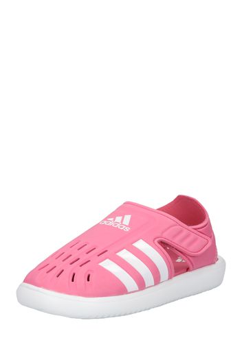 ADIDAS PERFORMANCE Scarpe da spiaggia / da bagno  rosé / bianco