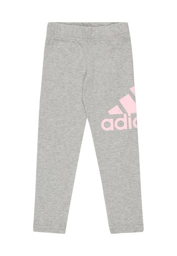 ADIDAS PERFORMANCE Pantaloni sportivi  grigio sfumato / rosa