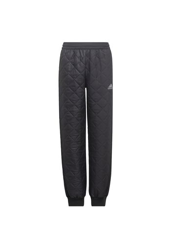 ADIDAS PERFORMANCE Pantaloni sportivi  nero / grigio