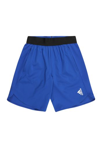 ADIDAS PERFORMANCE Pantaloni sportivi  bianco / nero / blu reale