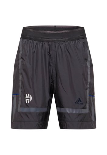 ADIDAS PERFORMANCE Pantaloni sportivi  grigio / nero