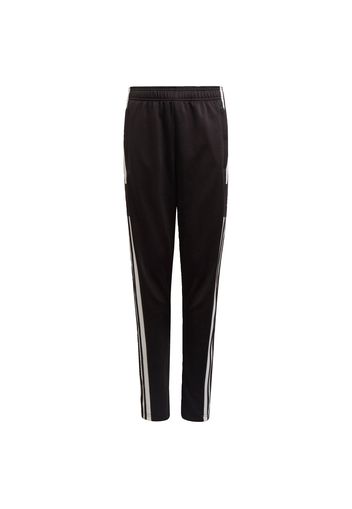 ADIDAS PERFORMANCE Pantaloni sportivi 'Squadra 21'  nero / bianco