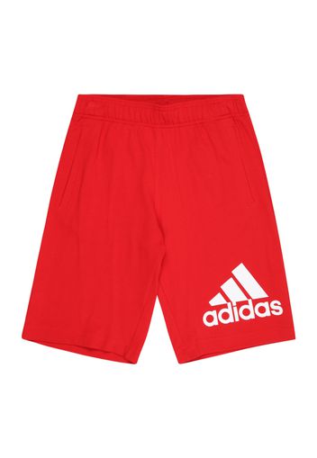 ADIDAS PERFORMANCE Pantaloni sportivi  rosso sangue / bianco