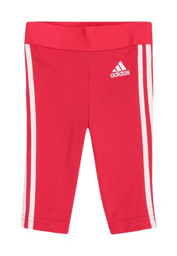 ADIDAS PERFORMANCE Pantaloni sportivi  rosa neon / bianco