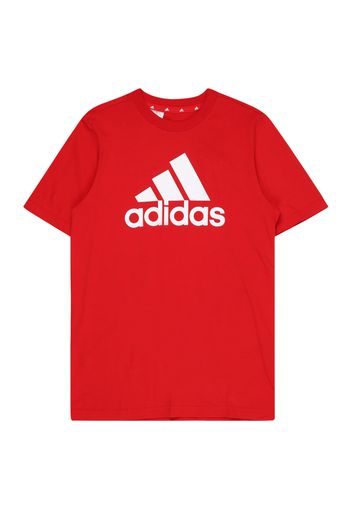 ADIDAS PERFORMANCE Maglia funzionale  rosso / bianco