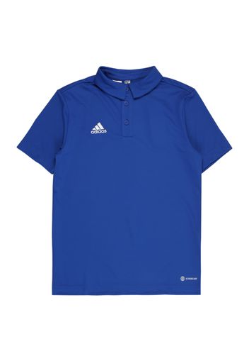 ADIDAS PERFORMANCE Maglia funzionale  blu reale / bianco