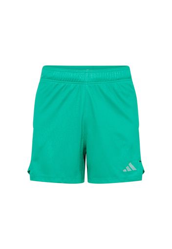 ADIDAS PERFORMANCE Pantaloni sportivi  grigio argento / verde