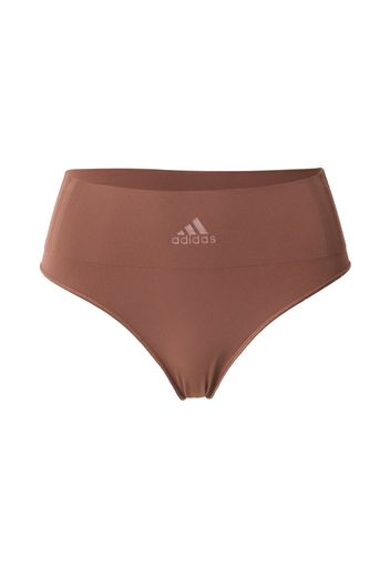 ADIDAS PERFORMANCE Pantaloncini intimi sportivi  camoscio