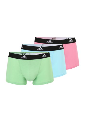 ADIDAS PERFORMANCE Pantaloncini intimi sportivi  blu chiaro / verde chiaro / rosa