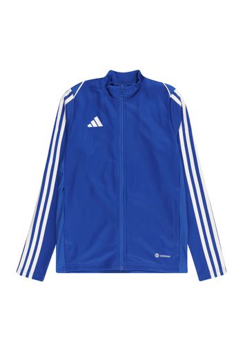 ADIDAS PERFORMANCE Giacca sportiva 'Tiro 23'  blu reale / bianco