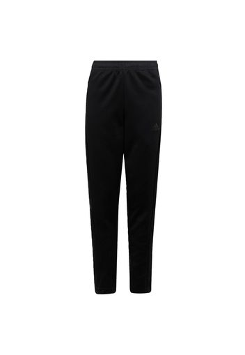 ADIDAS PERFORMANCE Pantaloni sportivi  nero