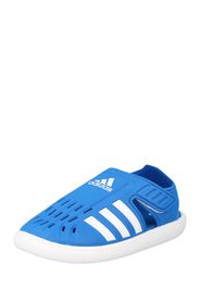 ADIDAS PERFORMANCE Scarpe da spiaggia / da bagno  blu / bianco