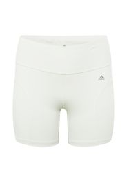 ADIDAS PERFORMANCE Pantaloni sportivi  verde pastello / grigio