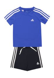 ADIDAS PERFORMANCE Completo per l'allenamento  blu reale / nero / bianco