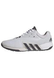 ADIDAS PERFORMANCE Scarpa sportiva 'Dropset'  grigio chiaro / nero / bianco